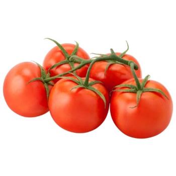 Strauchtomaten 5,0kg